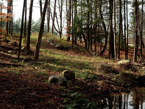 316 Elm Hill Drive Clarendon VT 05759