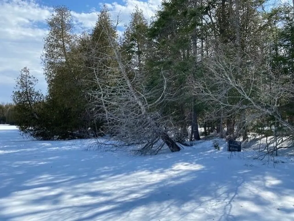 301 Martins Pond Lane Peacham VT 05862