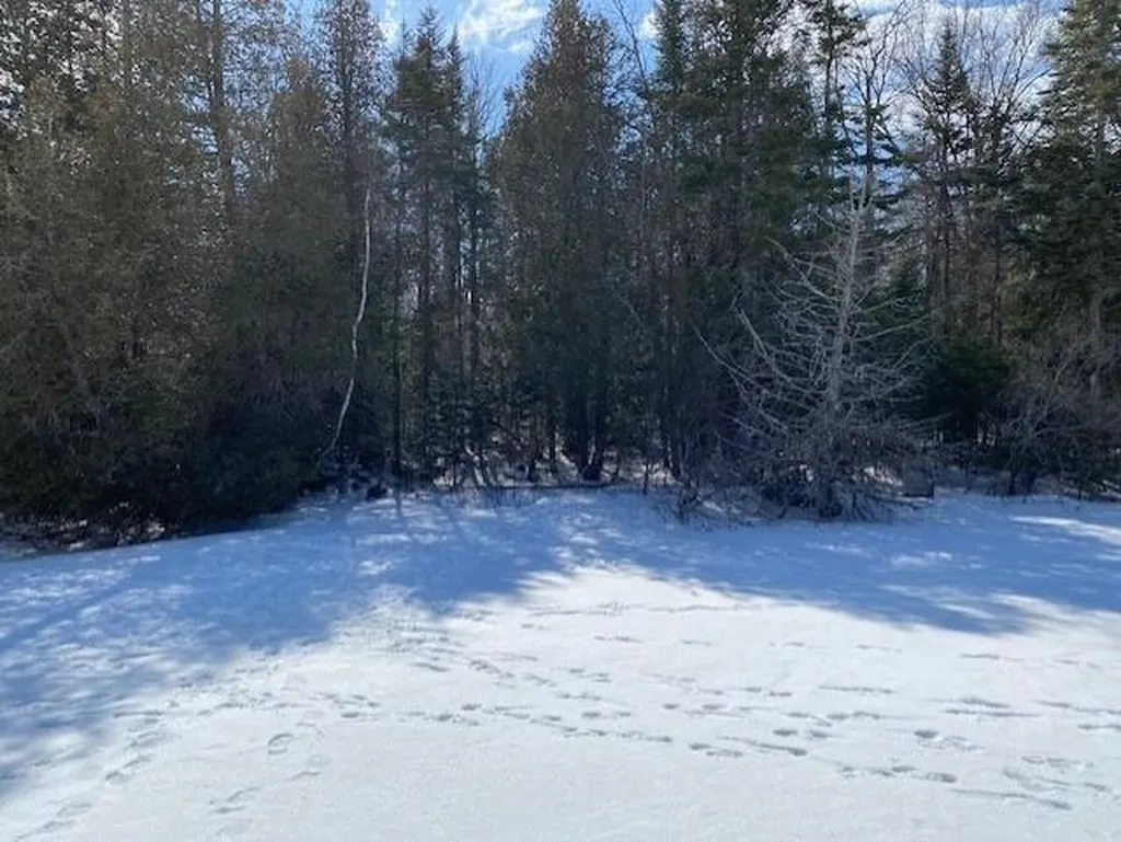 301 Martins Pond Lane Peacham VT 05862