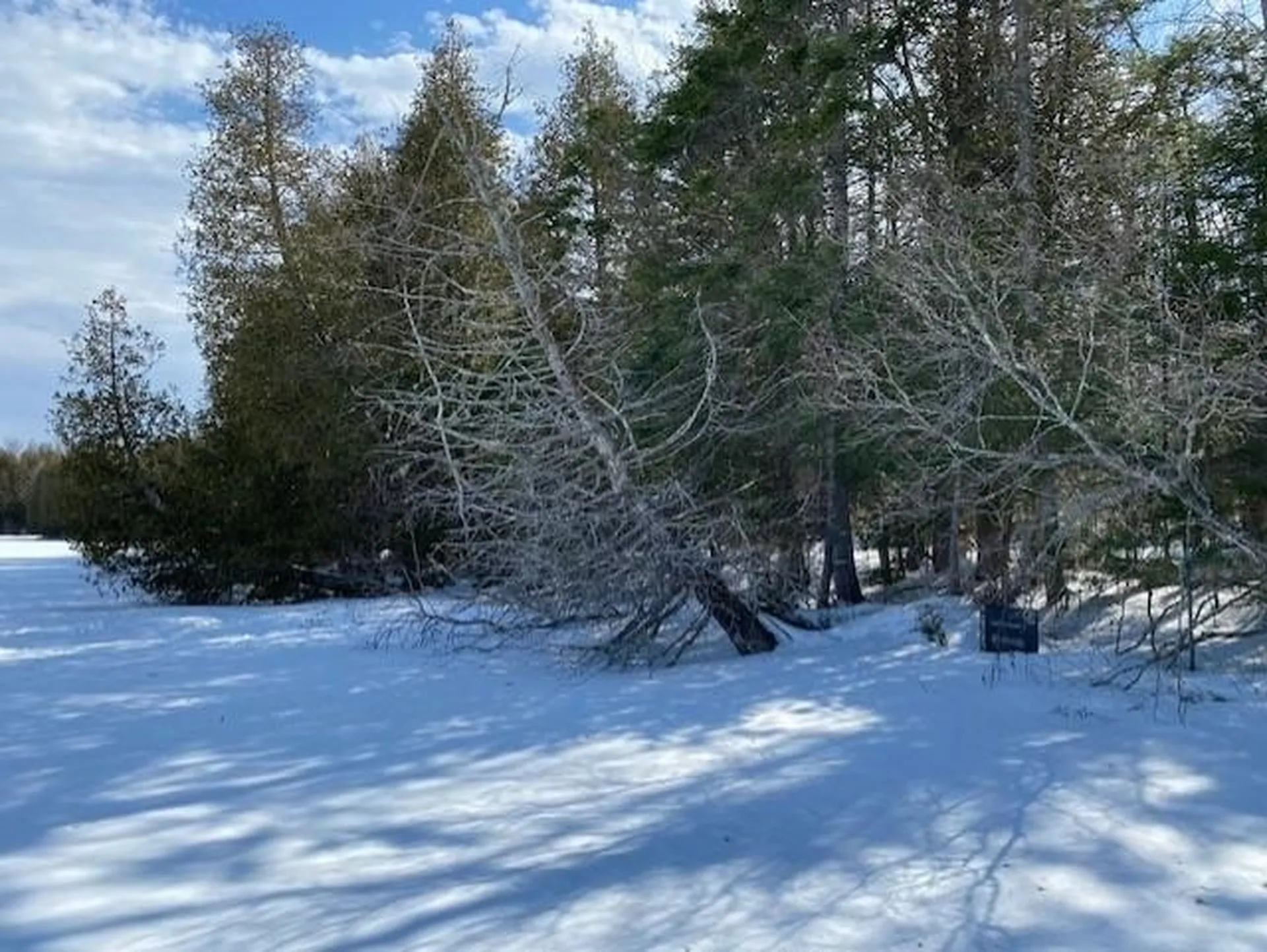 301 Martins Pond Lane Peacham VT 05862