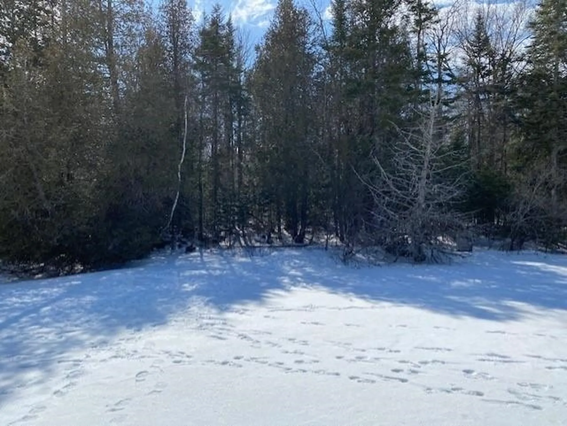 301 Martins Pond Lane Peacham VT 05862