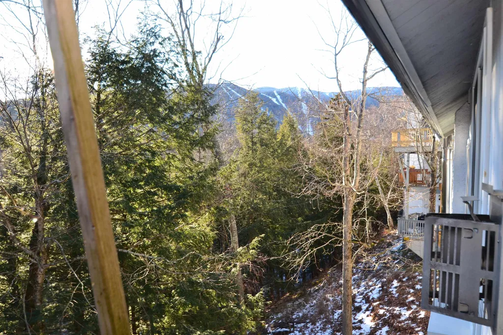327 Bridges Circle Warren VT 05674