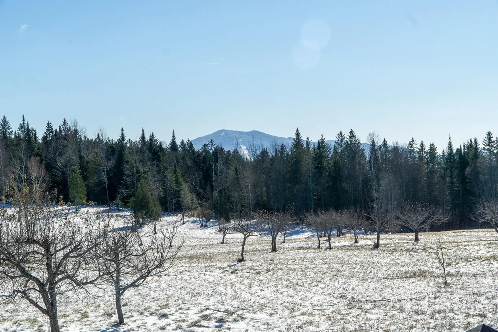 280 Quarter Horse Road Newark VT 05871