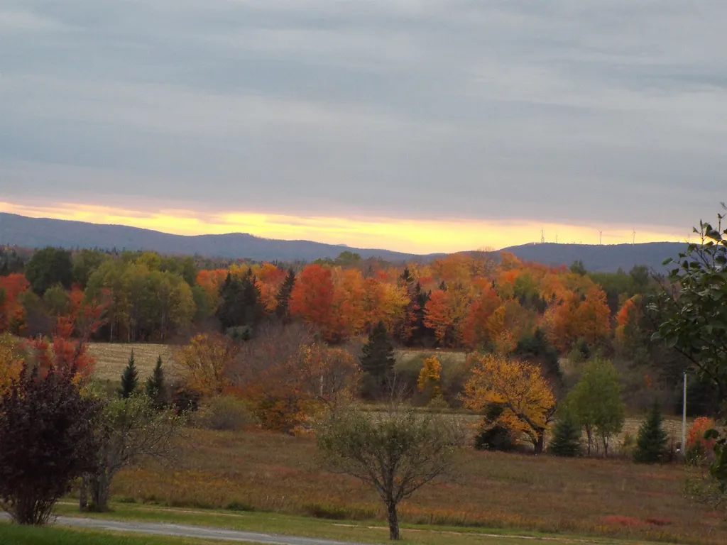 280 Quarter Horse Road Newark VT 05871