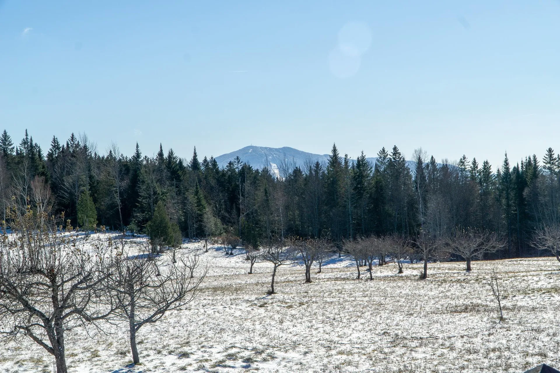 280 Quarter Horse Road Newark VT 05871