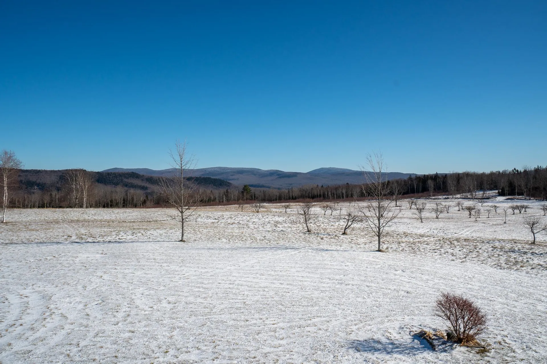 280 Quarter Horse Road Newark VT 05871