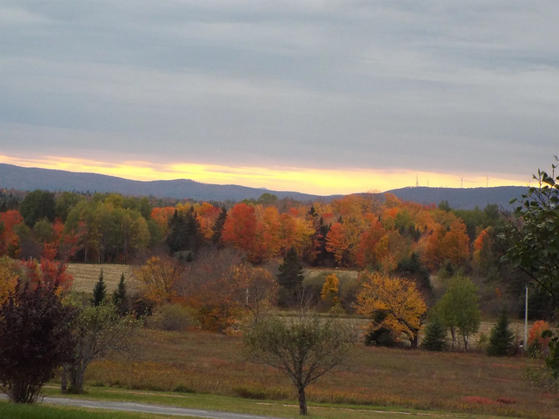 280 Quarter Horse Road Newark VT 05871