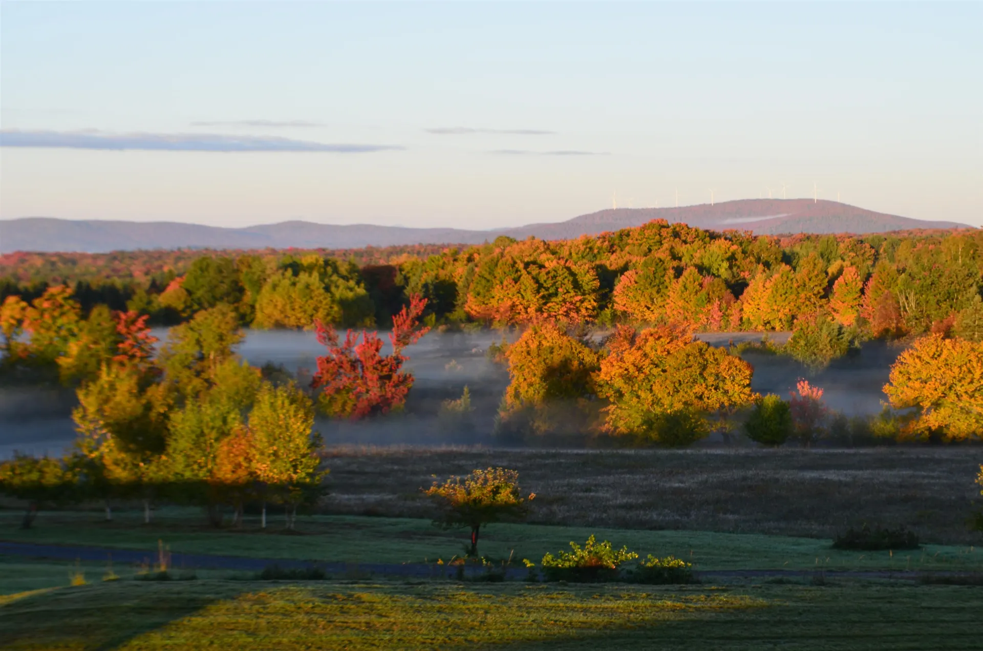 280 Quarter Horse Road Newark VT 05871