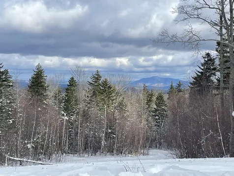 1845 Route 100 South Ludlow VT 05149