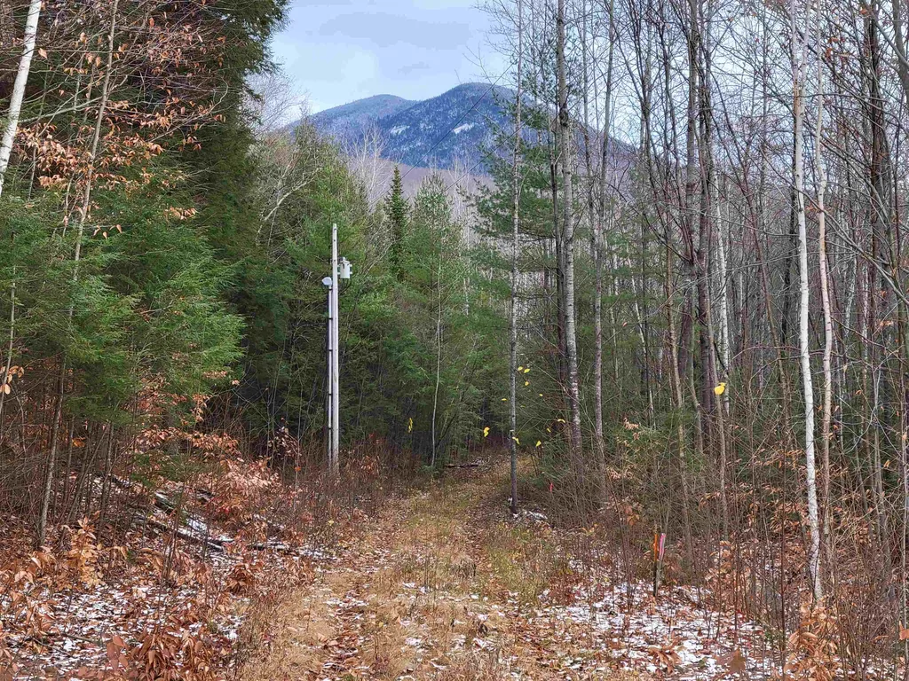 114-049 Mansion Hill Drive Lincoln NH 03251