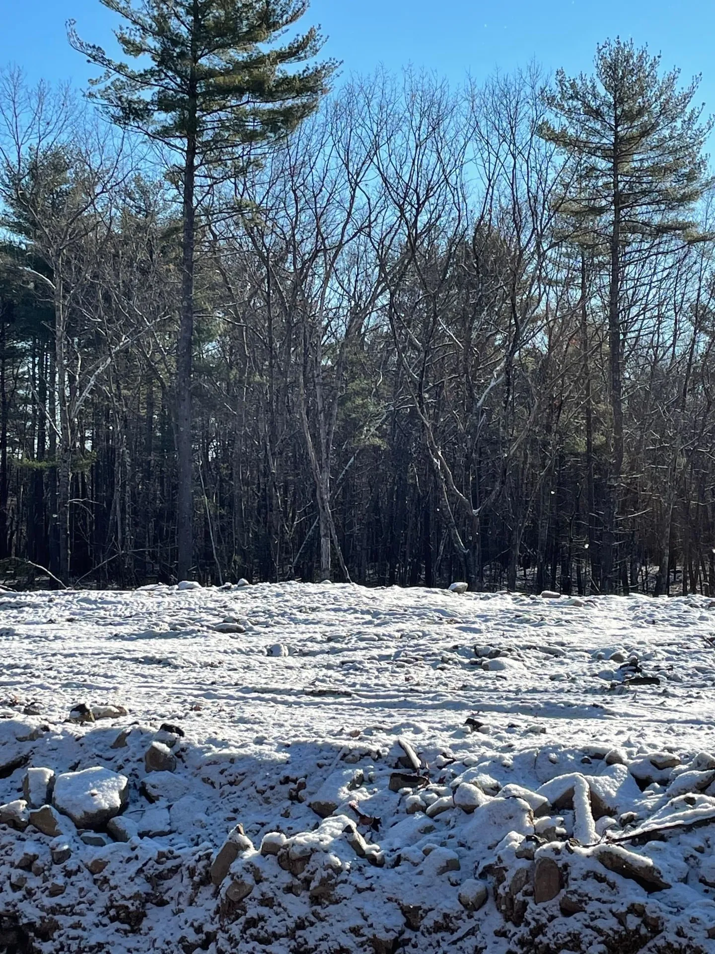 11 Lilac Ridge Road Windham NH 03087