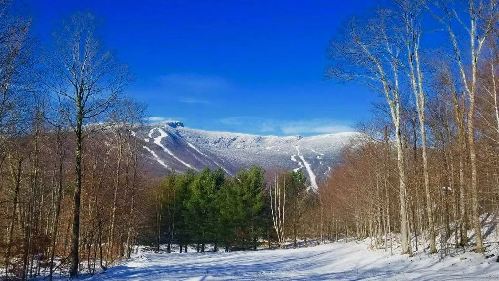 329 Thomas Pasture Road Stowe VT 05672