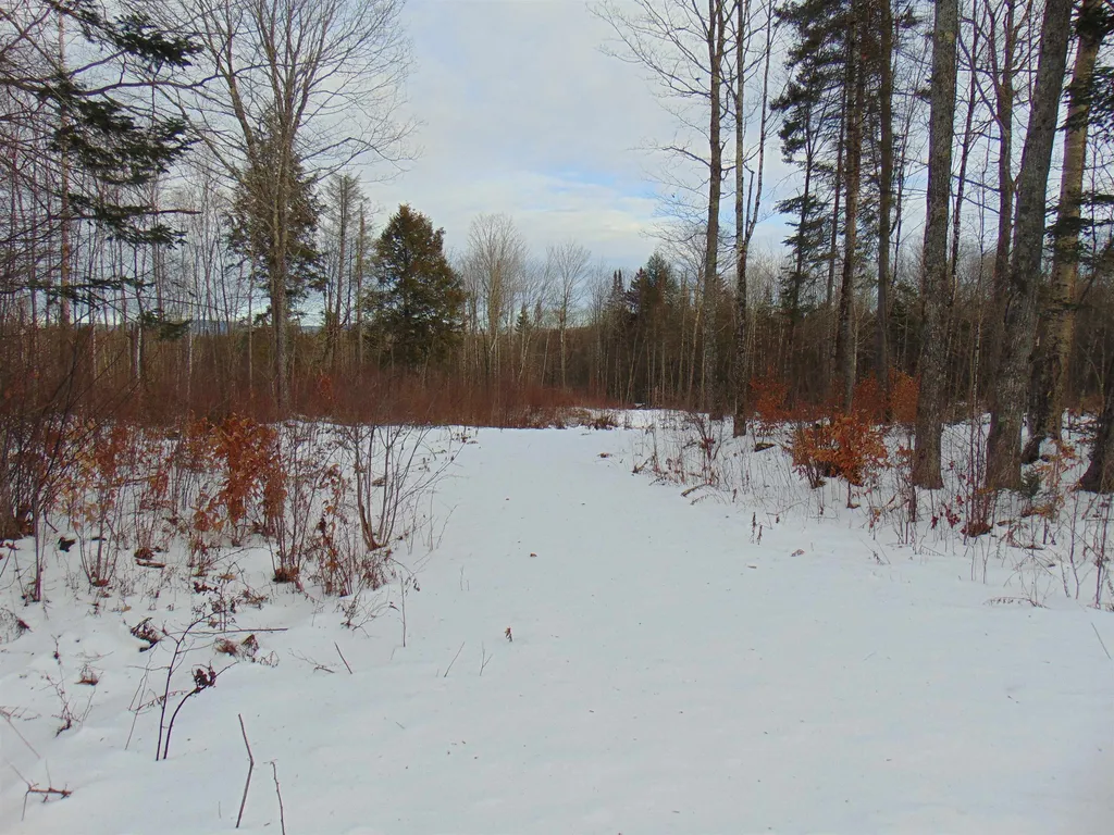 0 Victory Hill Road Victory, VT Real Estate MLS 4892865