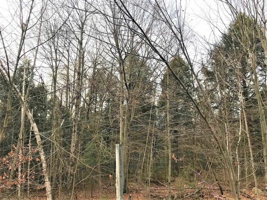 33 Jenkins Road New Durham NH 03855