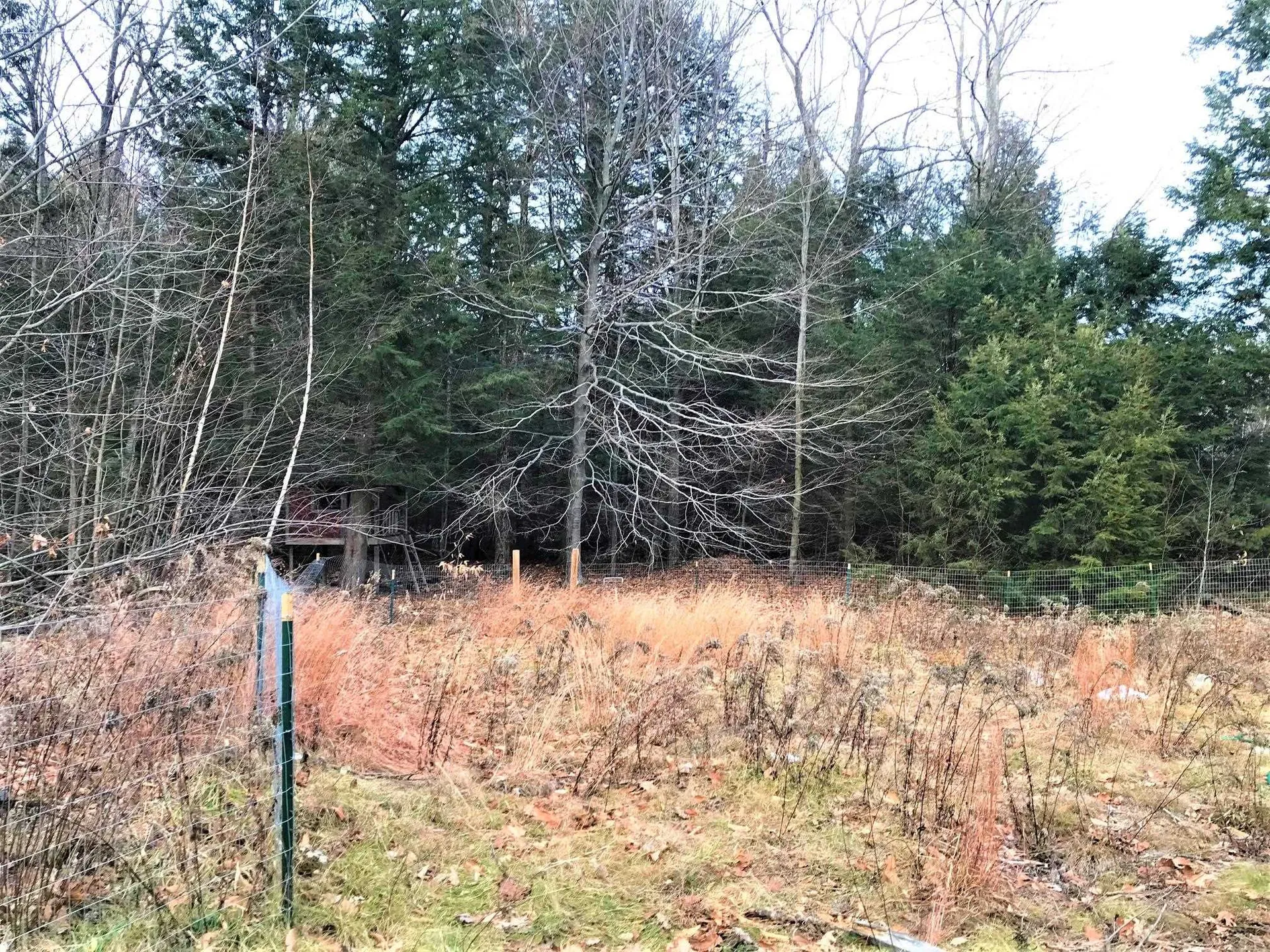 33 Jenkins Road New Durham NH 03855