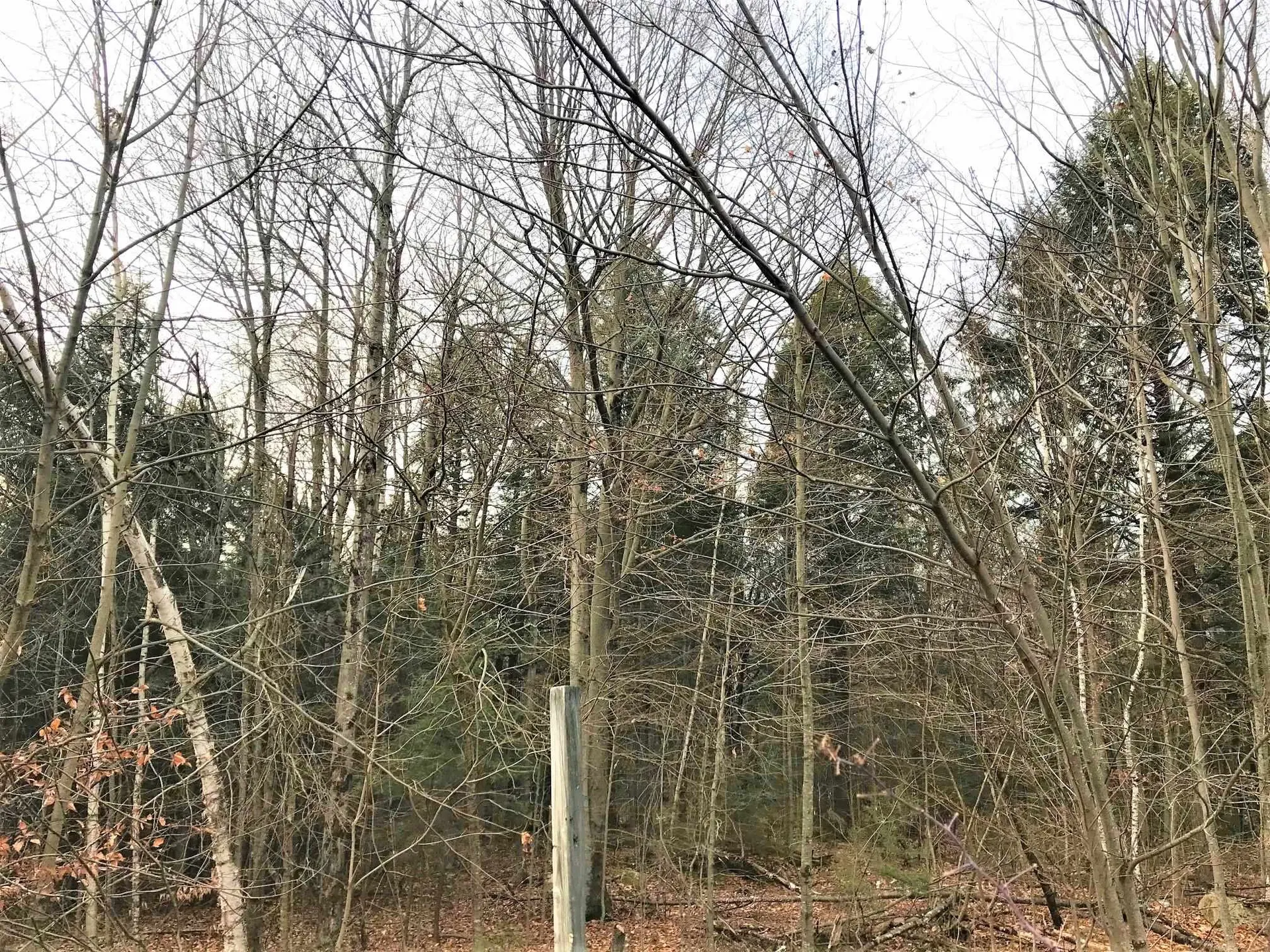 33 Jenkins Road New Durham NH 03855