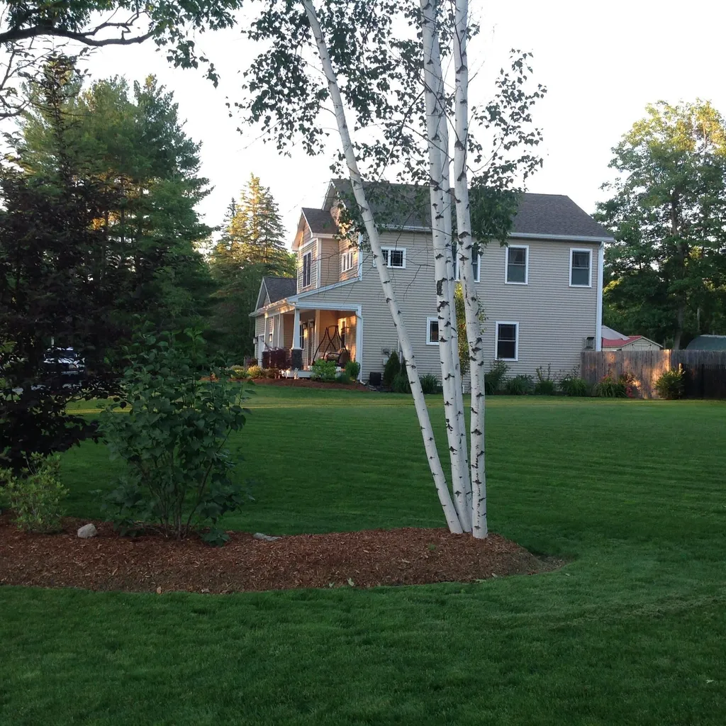 543 Bean Road Colchester VT 05446