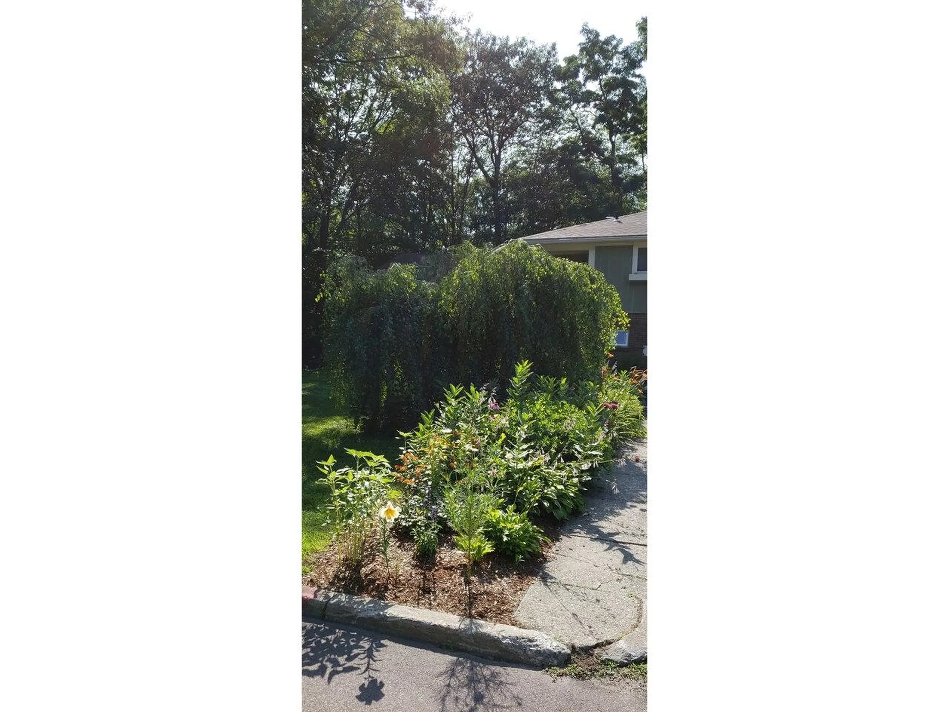 45 Crescent Road Burlington VT 05401