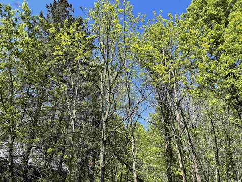 90 Maple Road Williston VT 05495