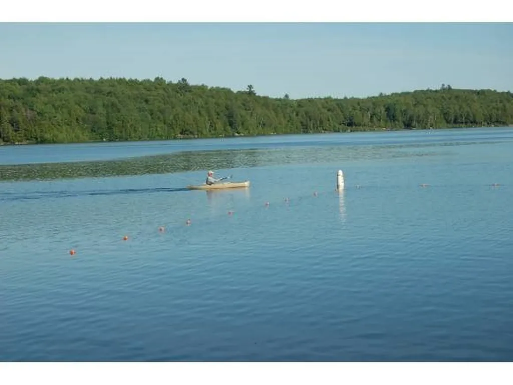 52 Black Duck Spur Grantham NH 03753