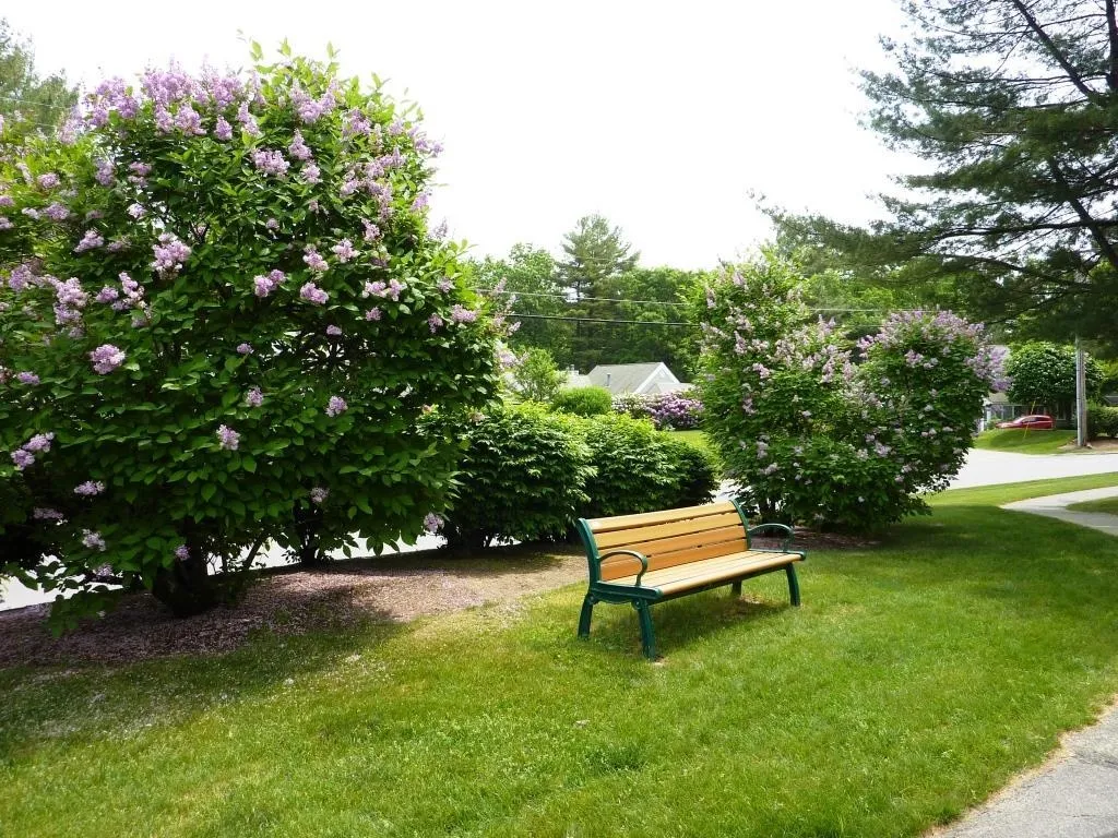 16 Ledgewood Hills Drive Nashua NH 03062