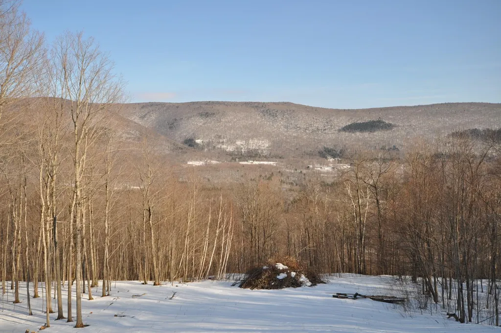 3486 Dorset Hill Road Dorset VT 05251