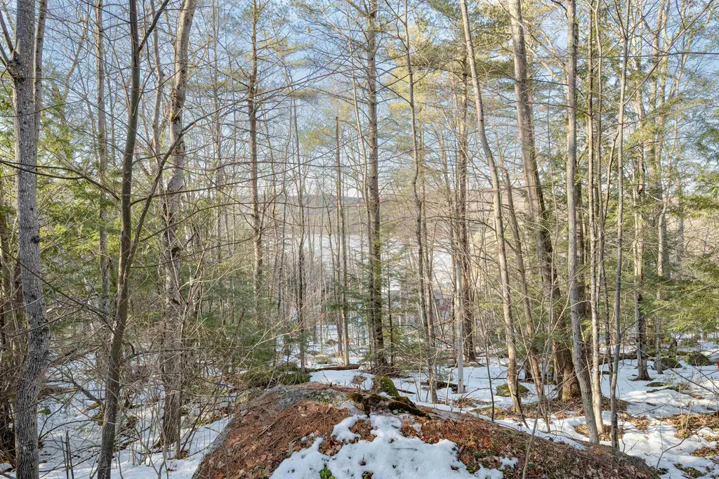 48 White Birch Point Road Antrim NH 03440