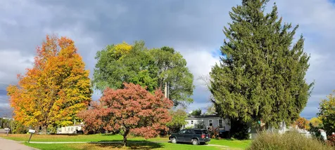 46 East Shore South Grand Isle VT 05458