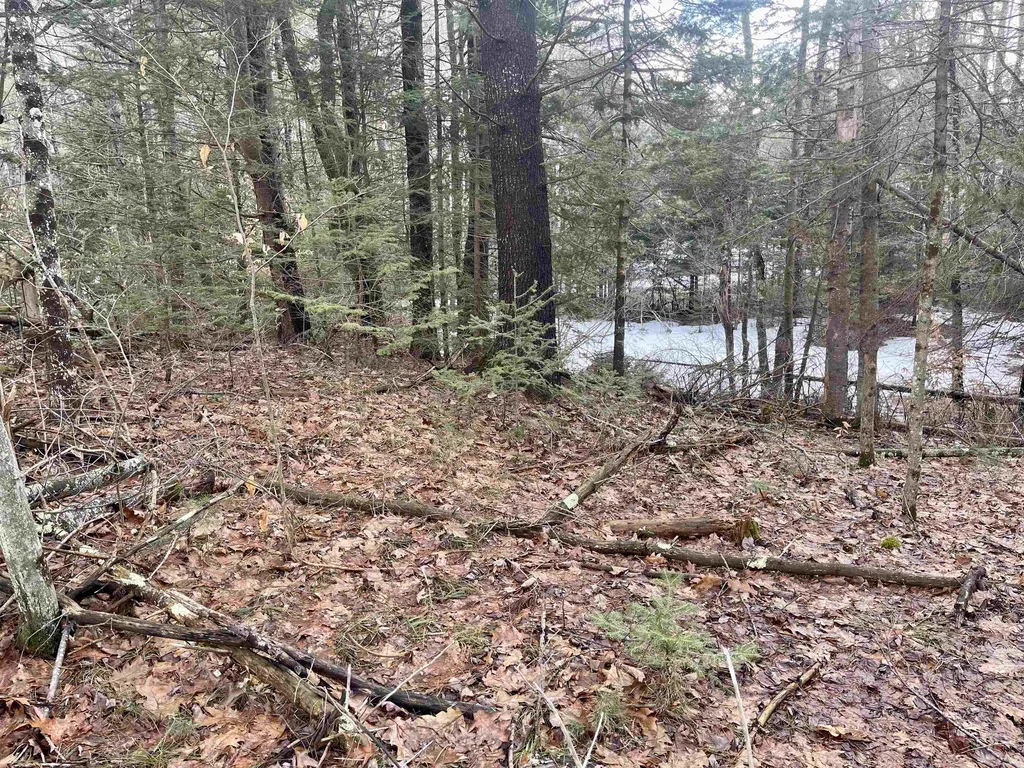 00 Sunapee Circle Haverhill NH 03774