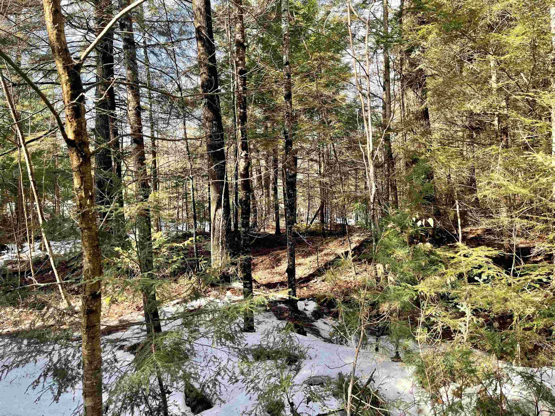 00 Simonds Road Haverhill NH 03774