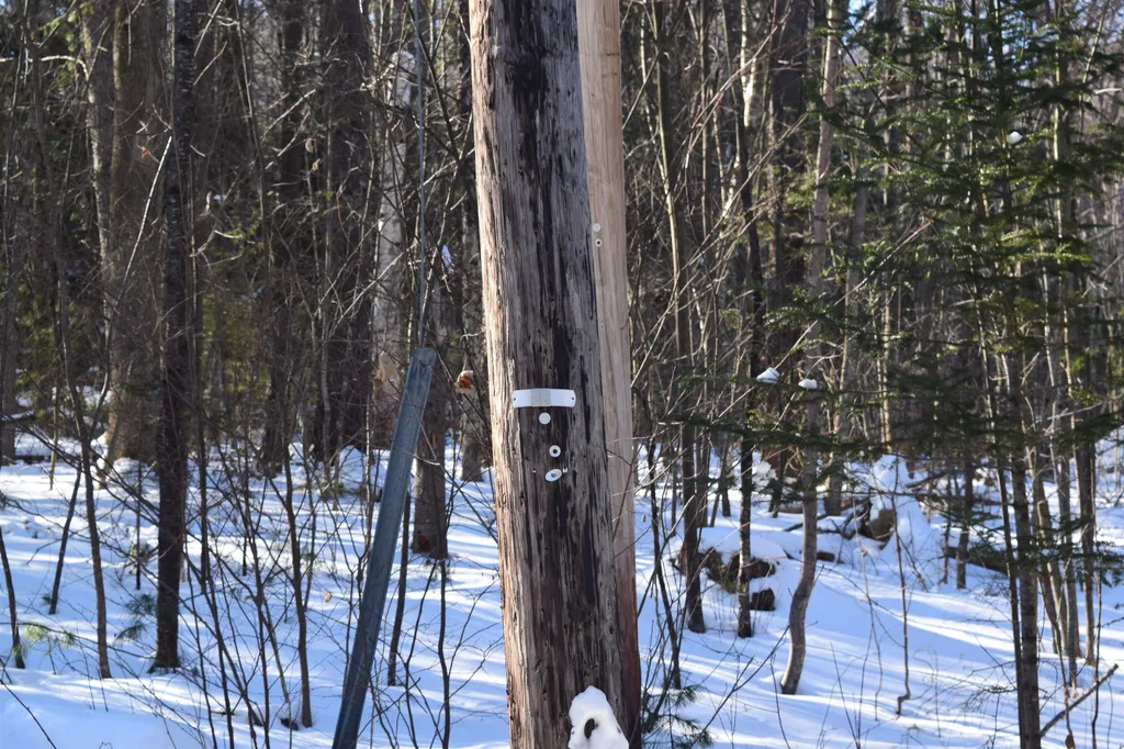 Lot 59 Wildcat Drive Haverhill NH 03765