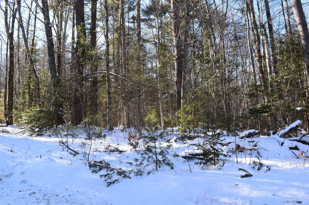 Lot 59 Wildcat Drive Haverhill NH 03765