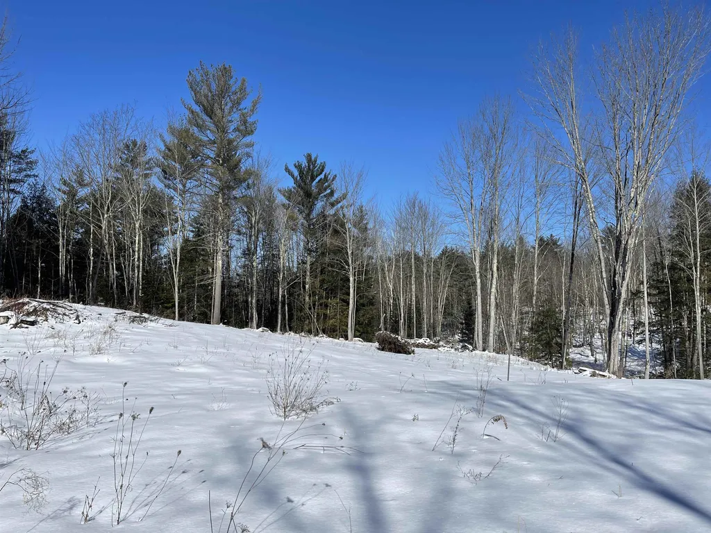 13 Mazzilli Drive Piermont NH 03779