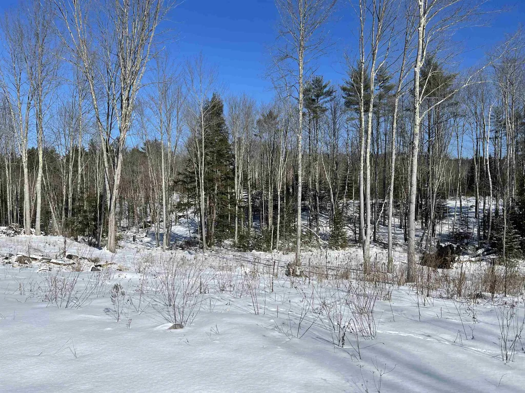 13 Mazzilli Drive Piermont NH 03779