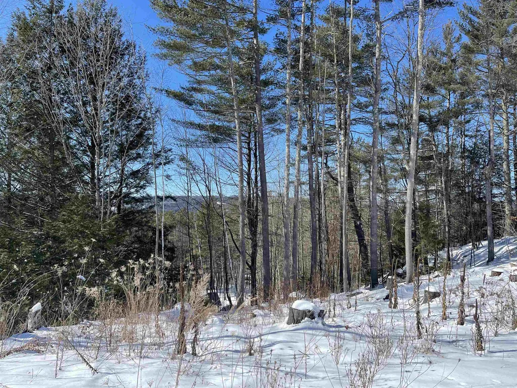 13 Mazzilli Drive Piermont NH 03779