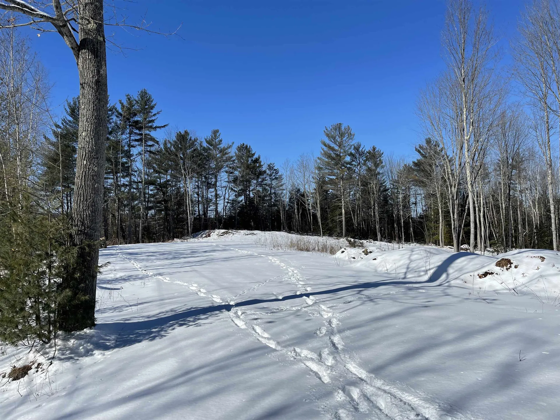 13 Mazzilli Drive Piermont NH 03779