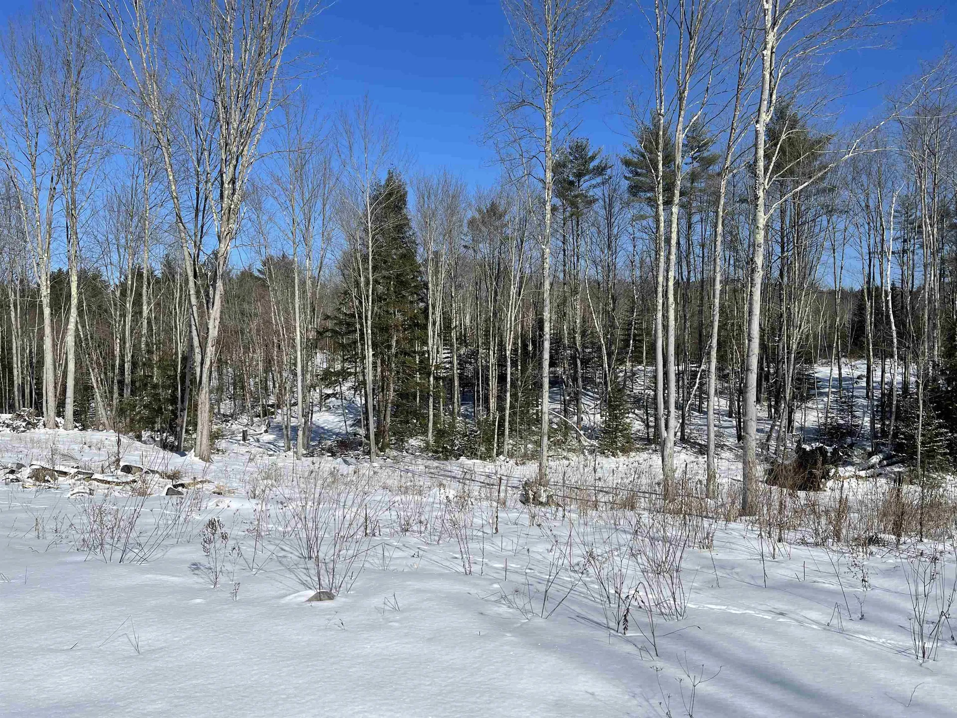 13 Mazzilli Drive Piermont NH 03779