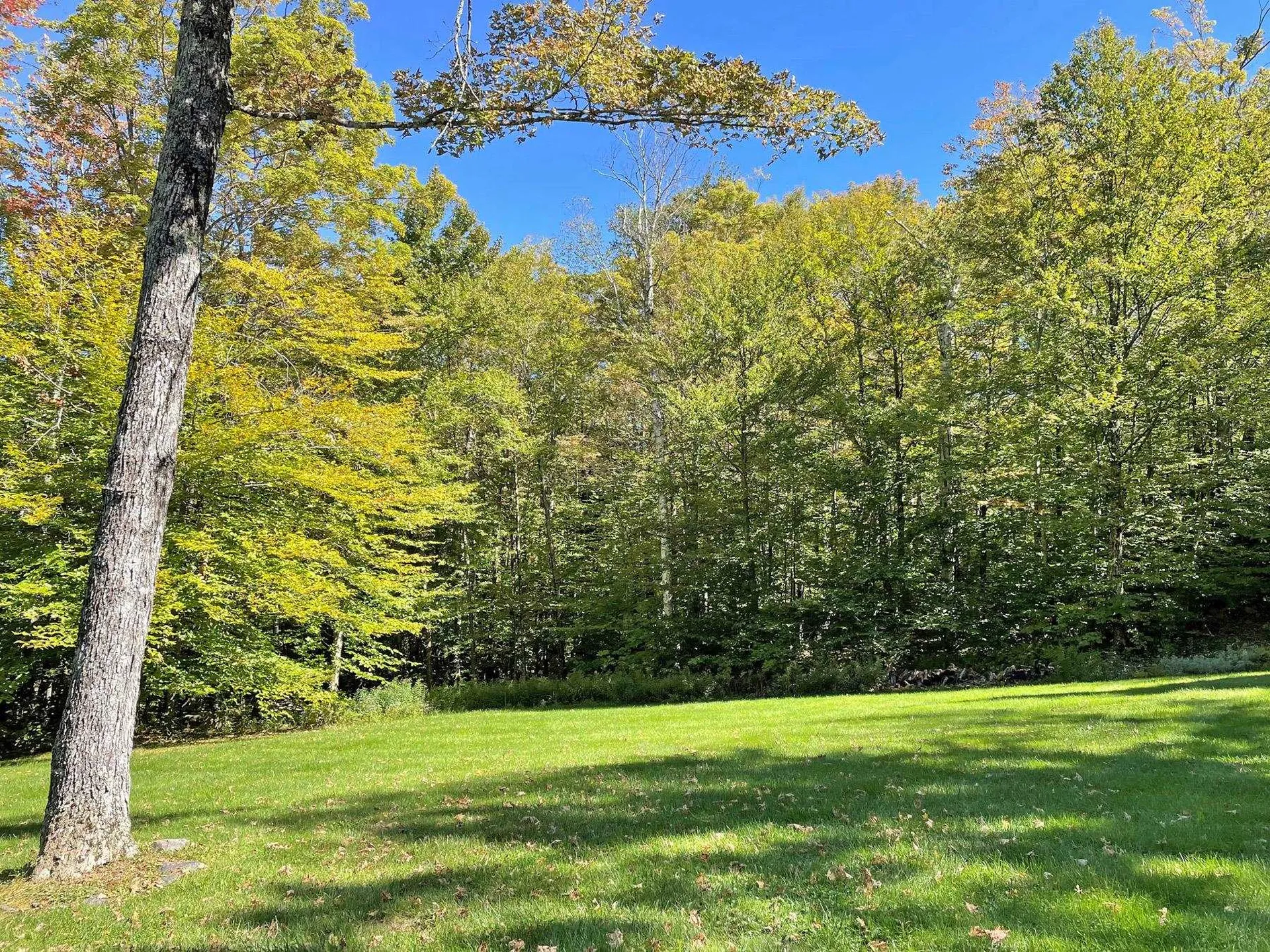 215 Pine Street Warren VT 05674