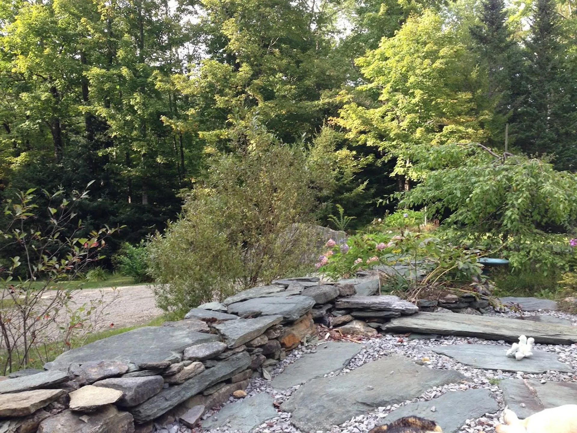 215 Pine Street Warren VT 05674