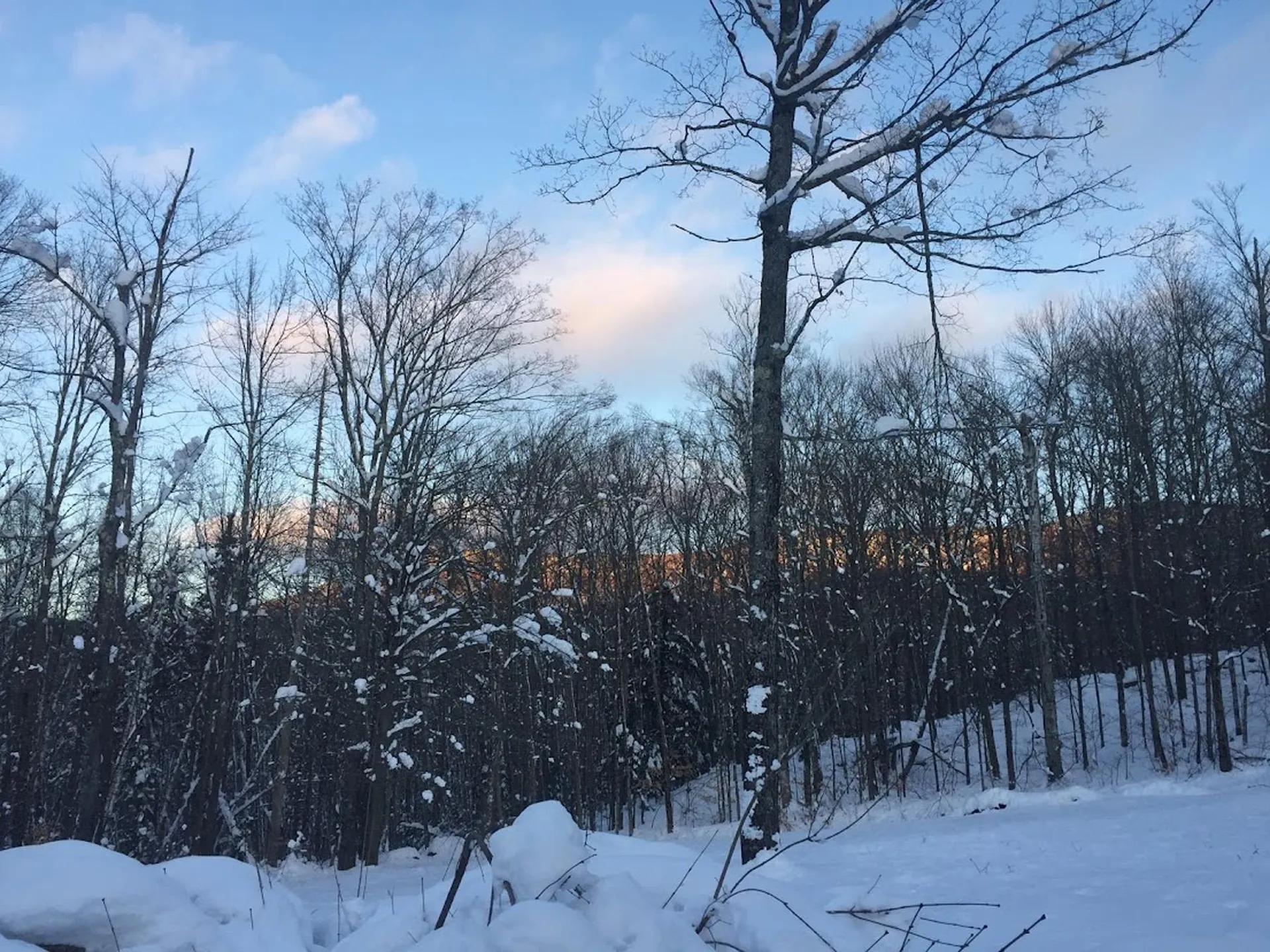 215 Pine Street Warren VT 05674