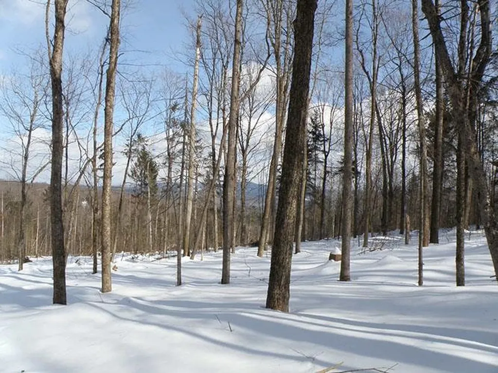 0 Warren Mountain Road Roxbury VT 05669