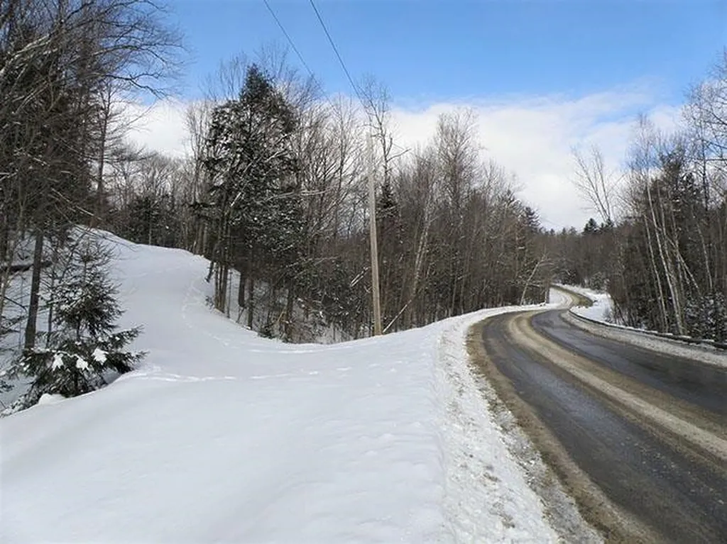 0 Warren Mountain Road Roxbury VT 05669