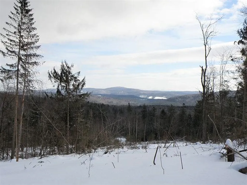 0 Warren Mountain Road Roxbury VT 05669