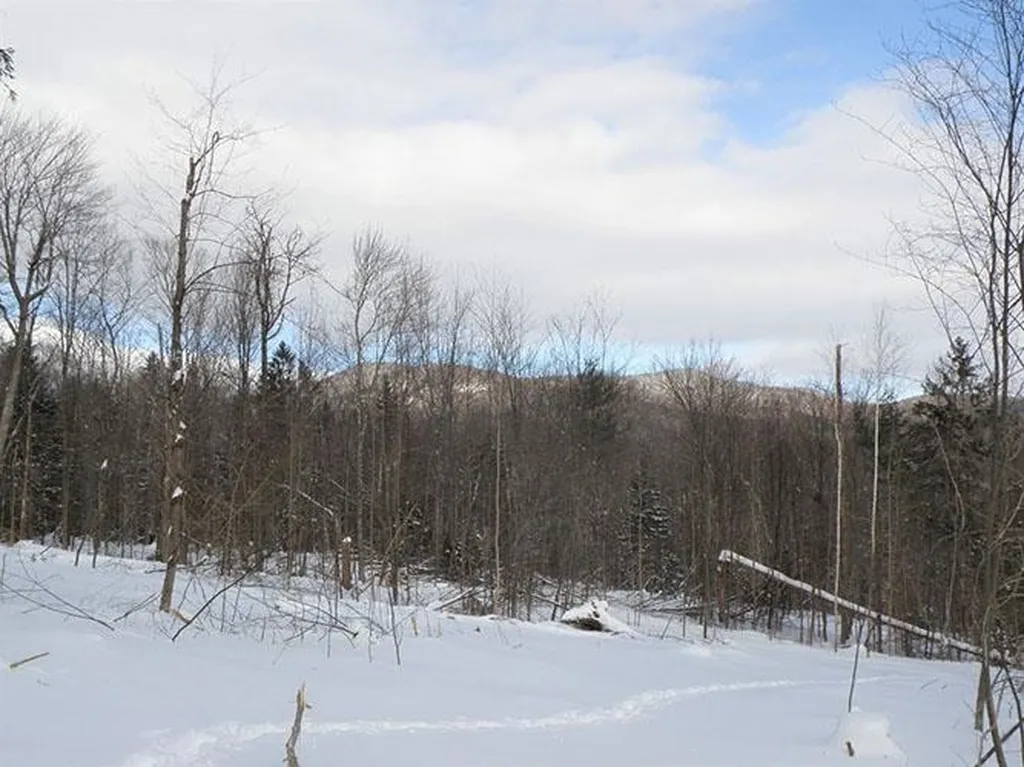 0 Warren Mountain Road Roxbury VT 05669