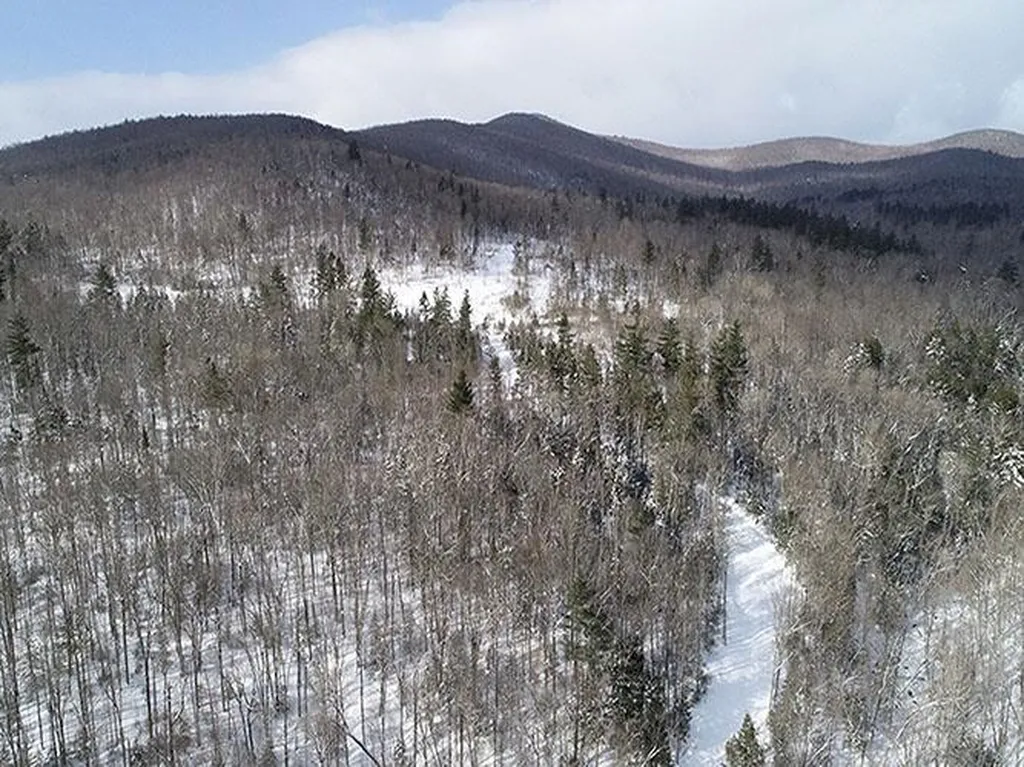0 Warren Mountain Road Roxbury VT 05669