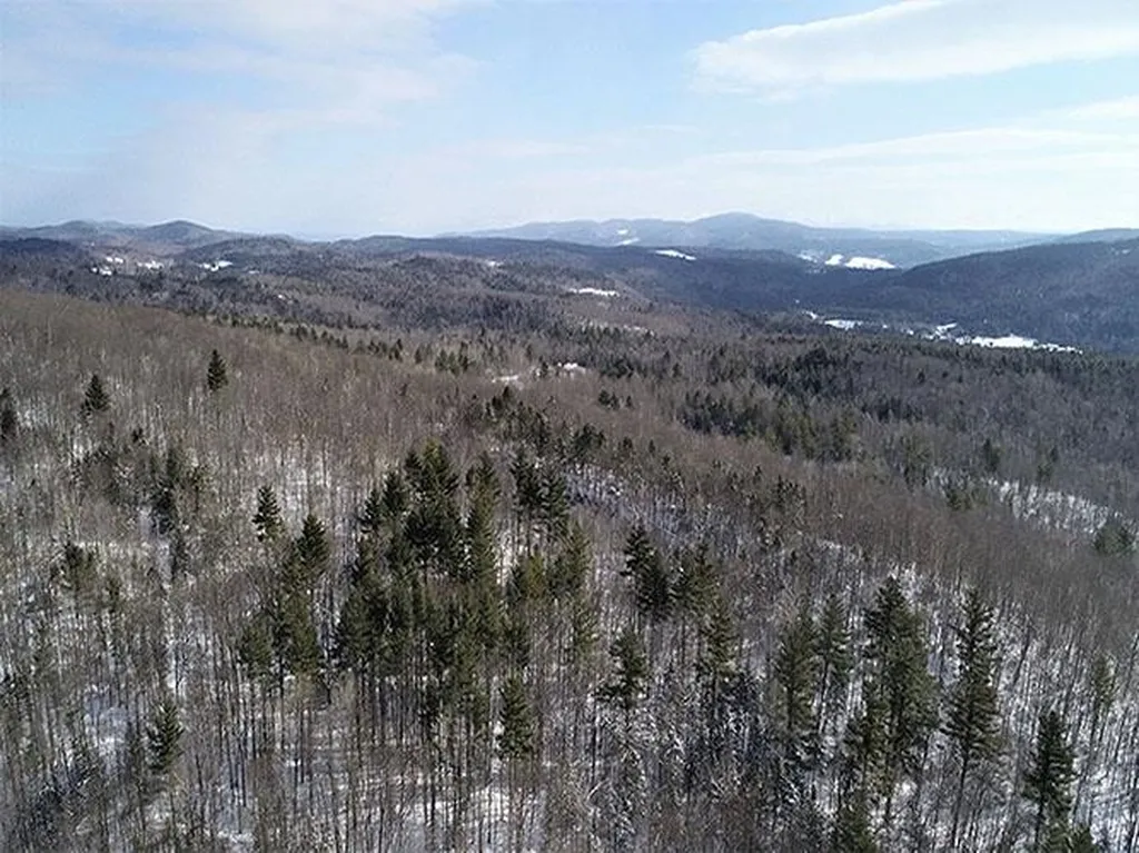 0 Warren Mountain Road Roxbury VT 05669
