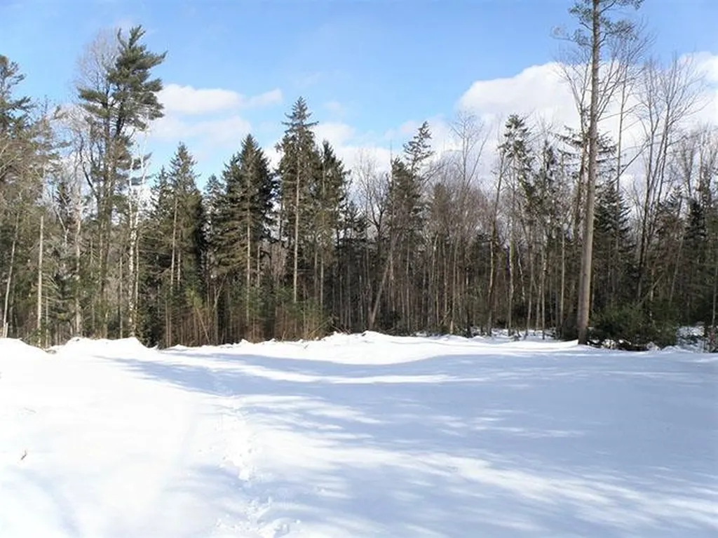 0 Warren Mountain Road Roxbury VT 05669