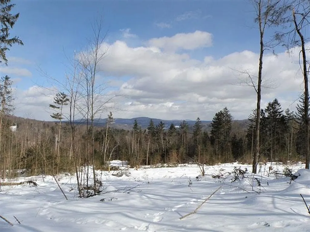 0 Warren Mountain Road Roxbury VT 05669