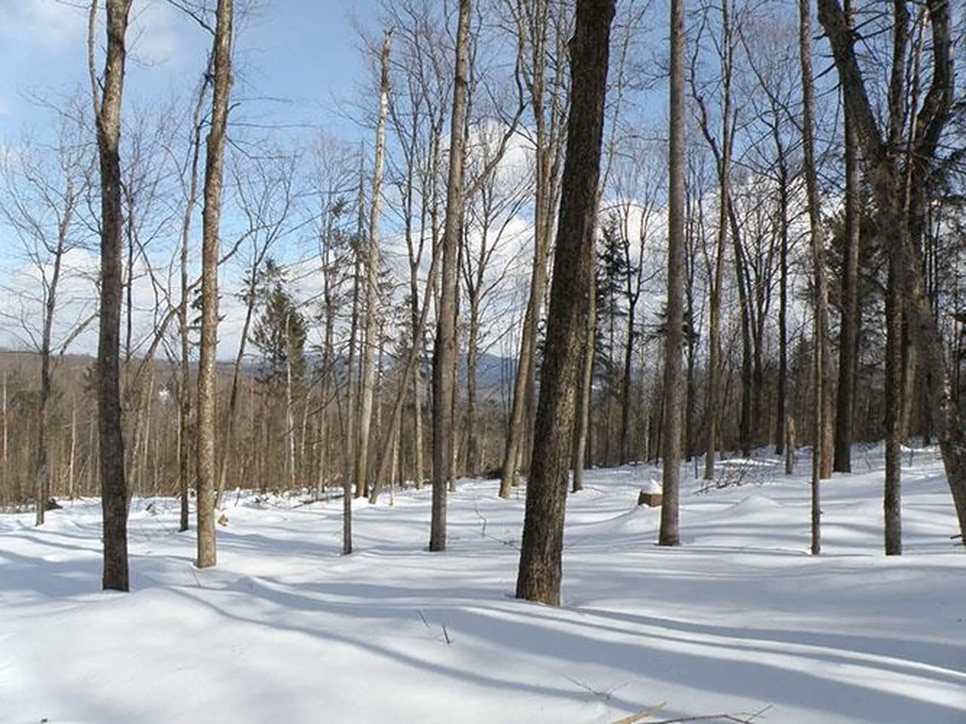 0 Warren Mountain Road Roxbury VT 05669
