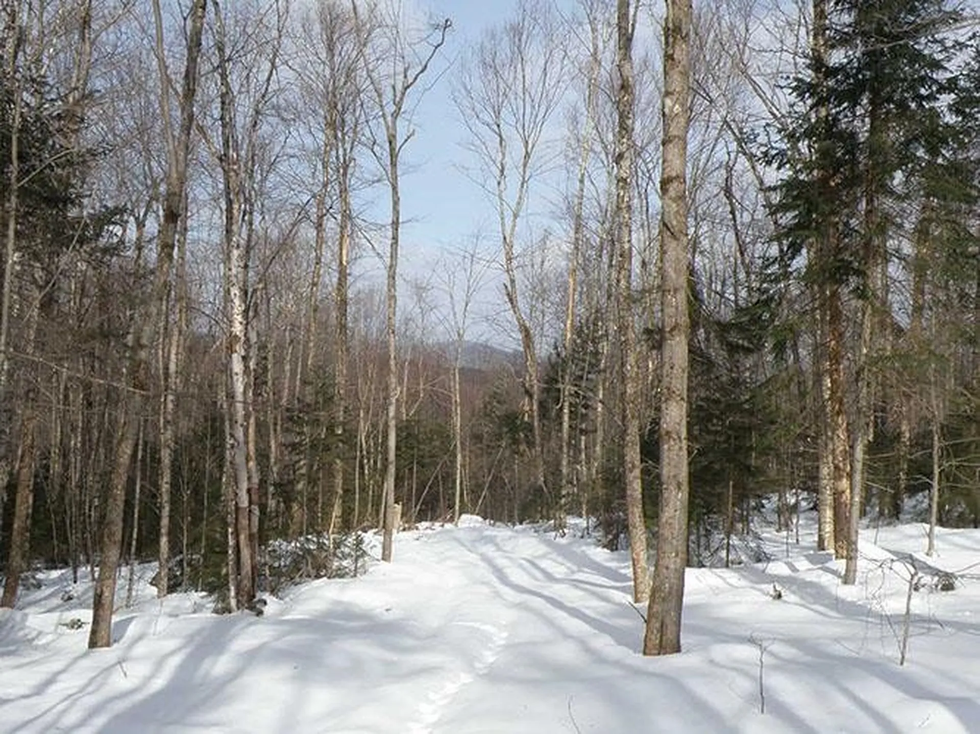 0 Warren Mountain Road Roxbury VT 05669